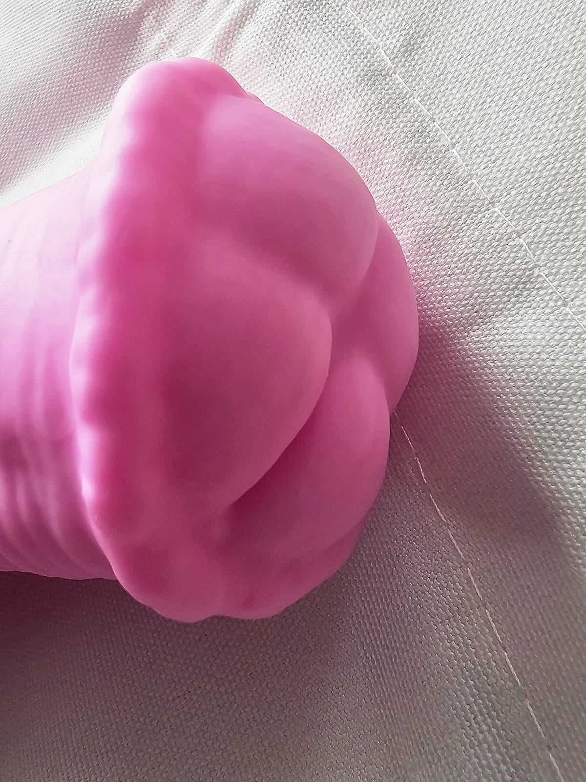 Close-up of the flared, ridged head